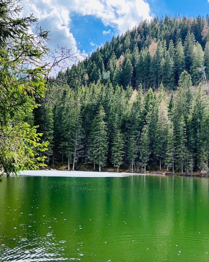Pension Lambrecht Sankt Lambrecht Dış mekan fotoğraf