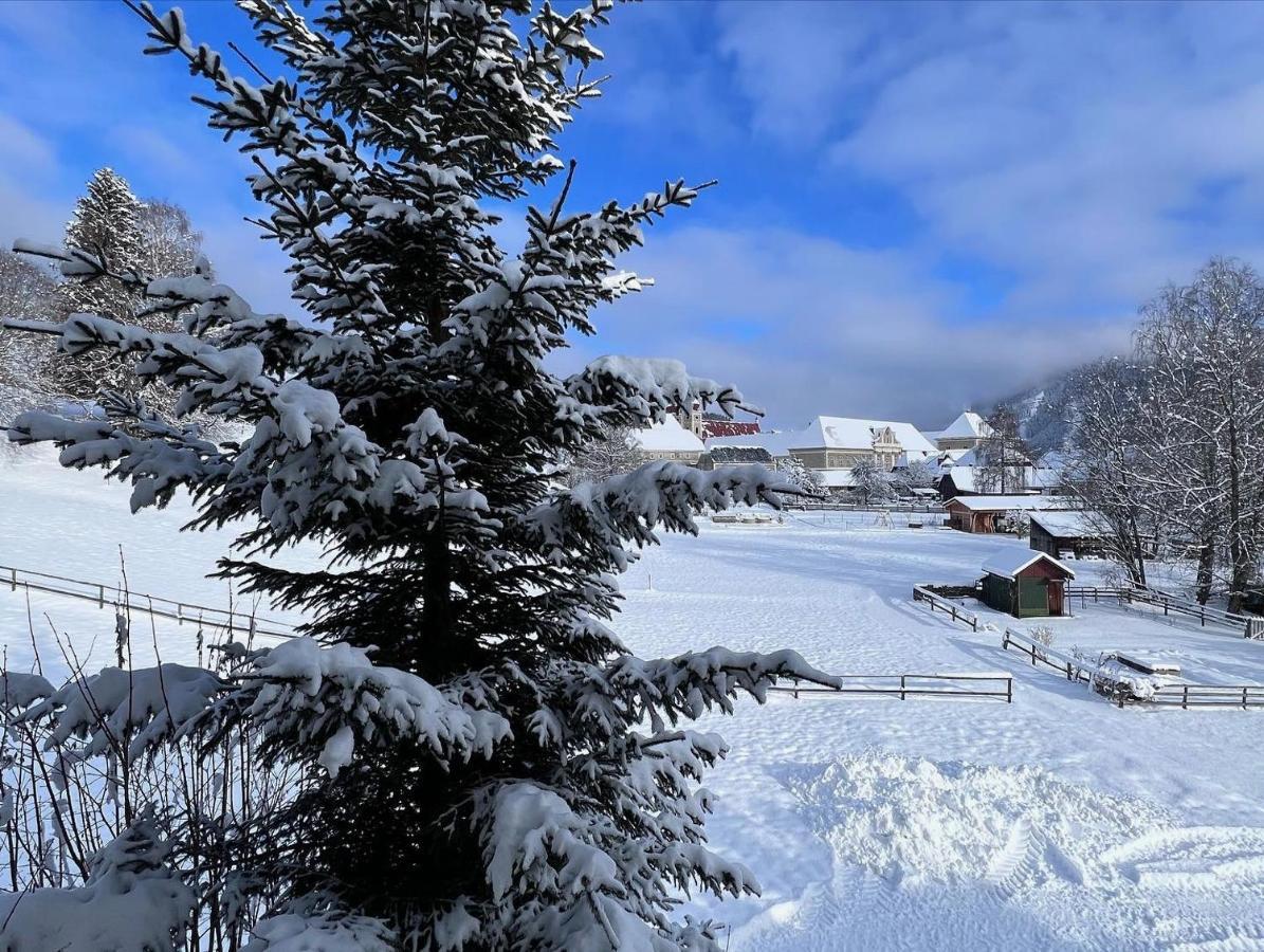 Pension Lambrecht Sankt Lambrecht Dış mekan fotoğraf